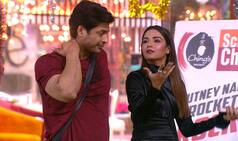 Bigg Boss 13: How Jasmine Bhasin's Entry Encouraged Siddharth Shukla to Mock Rashami Desai Unnecessarily