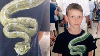Airport Officials Ask 10-Year-Old Boy to Remove His T-Shirt Because It Had a Snake Printed On It
