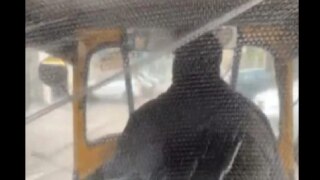 Delhi Autowala's 'Jugaad' To Shield Passengers From Delhi's Bone-Chilling Cold Is Going Viral