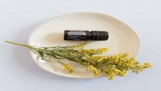 Want to Bid Adieu to Insomnia And Stress? Opt For Spikenard Essential Oil