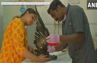 Over 150 Birds Killed By Sharp Kite Strings During Makar Sankranti In Gujarat