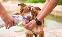 A Simple Act of Kindness Can Slow Down Ageing