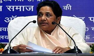 Even if we Have to Vote For BJP: Mayawati Attacks SP as She Vows to Defeat Akhilesh's Party in Future Polls