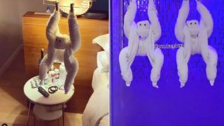 Bipasha Basu Gives a Sneak Peek Into Birthday Decoration by Husband Karan Singh Grover And It's All About Monkeys