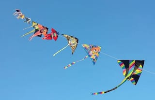 Gujarat's Makar Sankranti: As The State Celebrates Uttarayan, the Kite Festival; PM Modi Extends Wishes
