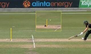 Bizarre! Stump Mic Blocks Runout of Lanning During Final Against India | WATCH