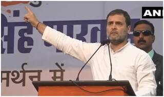 राहुल गांधी ने रोजगार, पलायन, किसानों के मुद्दे पर PM मोदी और नीतीश कुमार को घेरा, शरद यादव की प्रशंसा की