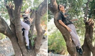 Sunny Leone Goes All Quirky as She Climbs on The Tree From One Branch to Another, Video Goes Viral