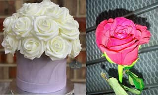 Happy Rose Day 2020: Types of Roses and Their Meanings