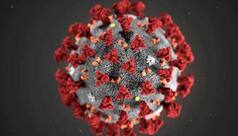 Coronavirus: US Company Develops Portable, Five-Minute COVID-19 Test