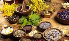 Haryana Announces Medical Reimbursement For Ayurvedic Treatment of State Employees