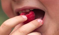 Want to Make Your Children Smarter? Include These Superfoods in Their Diet