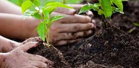 World Soil Day 2020: What Does it Mean? How The Day Came Into Existence and Why is it Significant?