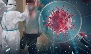 Corona Virus Infection: पुणे में कोरोना वायरस संक्रमण के पांच नए मामलों की पुष्टि