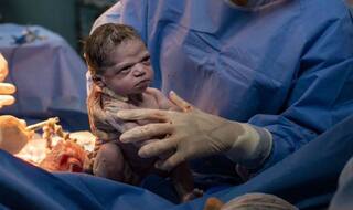 Hantavirus Memes: Twitterati Freak Out Thinking This is The Next Deadly Thing After Coronavirus