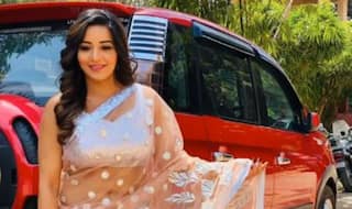 Monalisa's Drool-Worthy Pictures in Peach Net Saree Will Take Away Your Monday Blues
