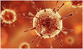 UP Reports First Coronavirus Death, 25-year-old Man Hid His Travel Information