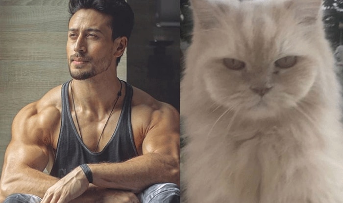 Tiger Shroff Posts Heartfelt Note After His Cat JD Passes Away