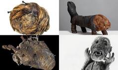 Stuff of Nightmares: No Need to Travel as Museums Share Their Creepiest Exhibits Online