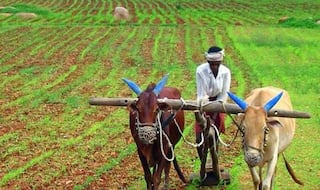 PM Kisan Samman Nidhi Yojana: नहीं आई किस्त तो निराश न हों, 31 मार्च 2021 तक आ जाएगी, करें चेक