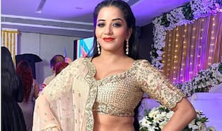 Monalisa Turns up The Heat in Sexy Golden Lehenga, See Photos