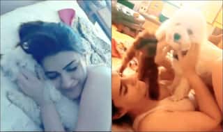 Kriti Sanon's Paw-dorable Morning Session Will Brighten up Your Day in a Jiffy And THIS Video is Proof!