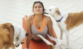 india.com top news