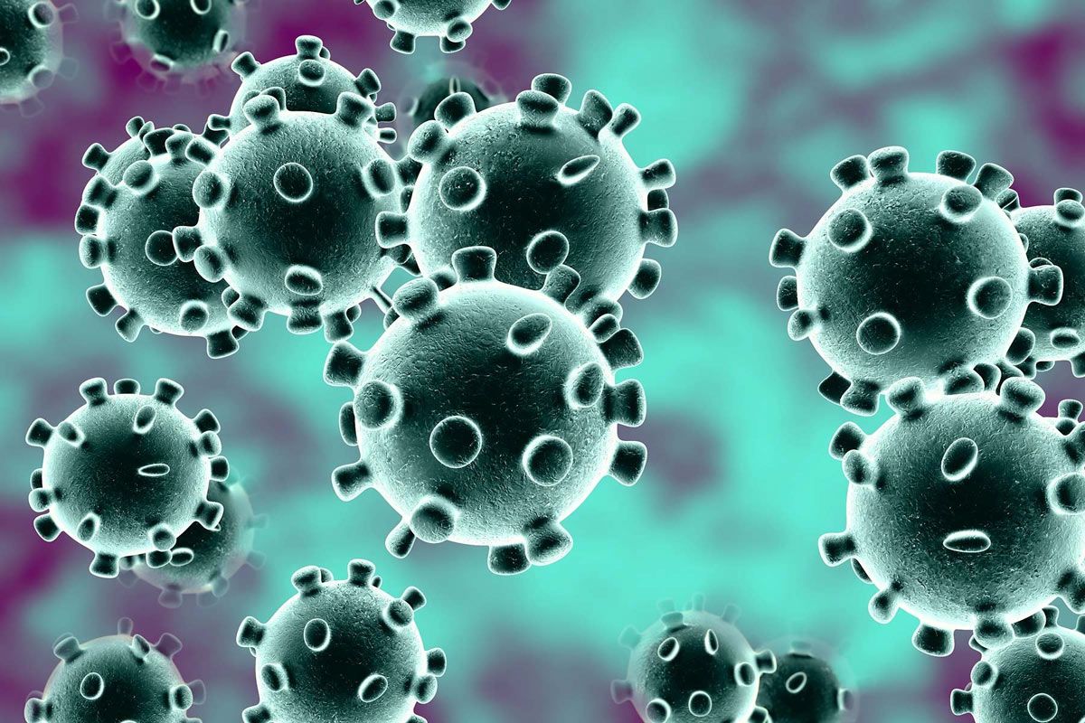 Coronavirus Test Negative Report