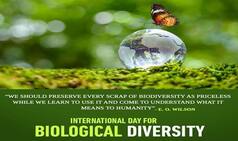 International Day For Biological Diversity 2020: Share These Beautiful Quotes With Family and Friends to Raise Awareness About Threats to Biodiversity And How to Curb Them