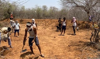 Rajasthan Villagers Dig Water Reservoir to Ensure Thirsty Wild Animals Don't Stray Into Village