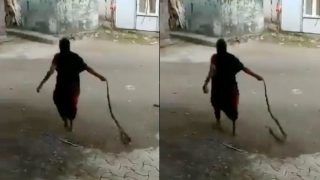 Watch Elderly Woman Drag King Cobra by Its Tail And Fearlessly Throw it Into The Jungle