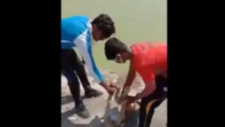 Teenagers Who Drowned a Dog in Viral TikTok Video Have Finally Been Arrested From Ujjain