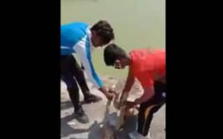 Teenagers Who Drowned a Dog in Viral TikTok Video Have Finally Been Arrested From Ujjain