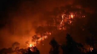 कैलिफोर्निया के जंगलों में लगी भीषण आग, 34 लाख एकड़ जमीन जली