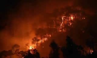 21 जगहों पर लगी भीषण आग से जूझ रहा अमेरिका, फायर ब्रिगेड के 13,800 दमकलकर्मी तैनात