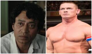 जॉन सीना ने इरफान खान को सोशल मीडिया पर दी श्रद्धांजलि, फिल्म 'Life of Pi' की तस्वीर किया पोस्ट