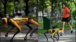 Meet Robodog SPOT Who Doesn't Bark But 'Politely' Tells People in Singapore Park to Maintain Social Distancing | Watch