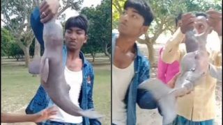 HORRIBLE! Bengal Men Torture Gangetic Dolphin to Death on Banks of River Hooghly, Viral Video Sparks Fury on Twitter