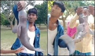 HORRIBLE! Bengal Men Torture Gangetic Dolphin to Death on Banks of River Hooghly, Viral Video Sparks Fury on Twitter