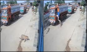 india.com top news
