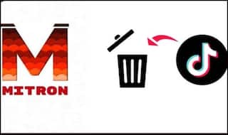 TikTok's Indian Rival 'Mitron' Crosses 5 Million Downloads on Google Play Store, App Only Available For Android Devices