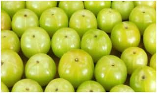 Gooseberry In Winters: जानें सर्दियों में कब और कितना करना चाहिए आवंला का सेवन