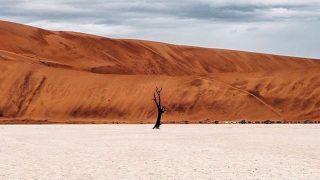 World Day to Combat Desertification And Drought 2020: History And Significance of The Day