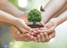'We Can Make a Difference': Twitterati Pledges to Protect & Preserve Nature On World Environment Day