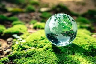 World Environment Day 2023: 3 Major Ways Your Beauty Products Are Damaging Our Planet