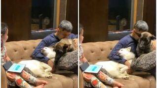 MS Dhoni Cuddling His Pet Dogs During COVID-19 Lockdown Will Melt Your Heart | WATCH VIDEO