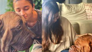 Alia Bhatt And Shaheen Bhatt Pose Candidly With Ranbir Kapoor’s Pooch And It’s The Best Thing to See on Internet