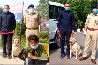 Ghaziabad Police Dog Leena Helps Catch Murder Suspects, Gets New Leather Strap in Reward