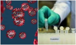 कोरोना से निपटने के लिए नया कॉकटेल दवा का शुरू हुआ मानव पर टेस्ट, शरद ऋतु में इसके बाजार में आने की संभावना 