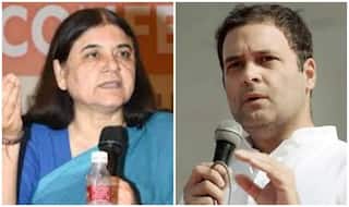 हथिनी की मौत का मामला: केरल के CM ने कहा- कार्रवाई होगी, मेनका गांधी बोलीं- राहुल गांधी क्यों नहीं ले रहे एक्शन?